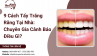 9 Cách Tẩy Trắng Răng Tại Nhà: Chuyên Gia Cảnh Báo Điều Gì?